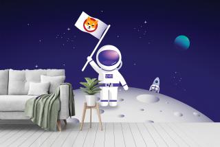 BTC Space V2