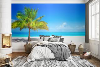 Beach Style V10
