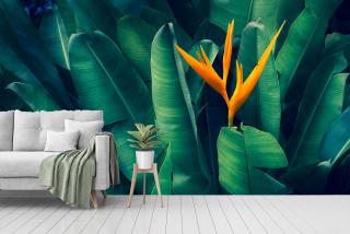 Nature Style V4