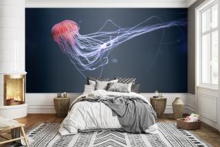 Ocean Jellyfish