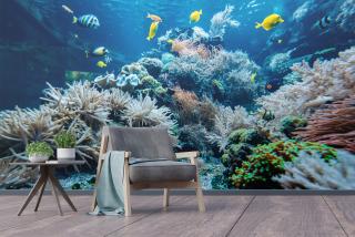 Ocean Underwater V2