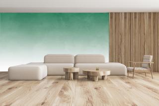 Ombre Effect V7
