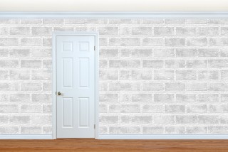 White Brick V2